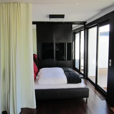 Penthouse Mit Donaublick Apartament